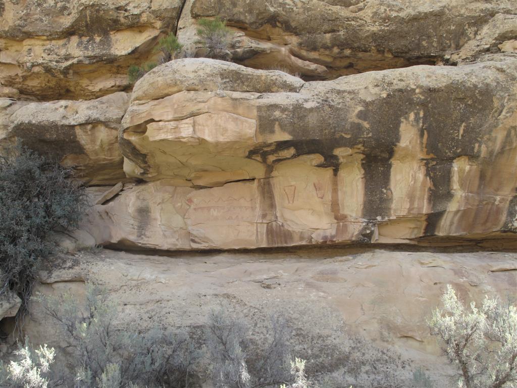 IMG_4226 (Large).JPG IMG_4226 (Large).JPG